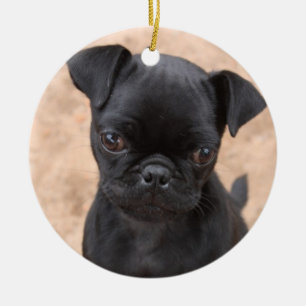 Cerâmica Ornamento do filhote de cachorro do Pug
