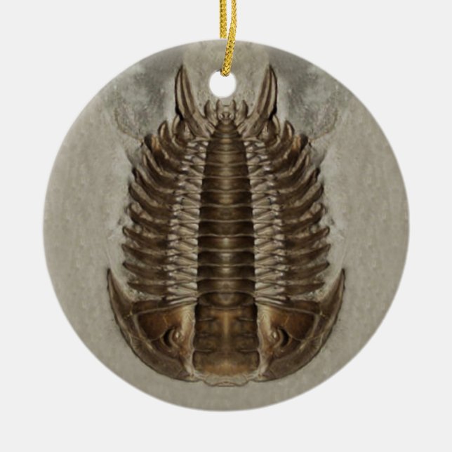 Cerâmica Ornamento do fóssil de Trilobite (Frente)