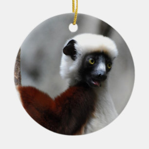 Cerâmica Ornamento do Lemur de Sifaka