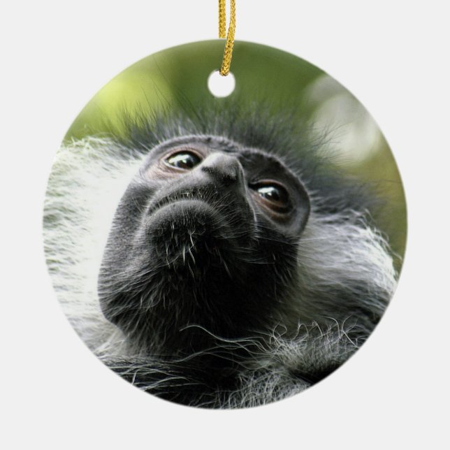 Cerâmica Ornamento do macaco de Colobus de Rwanda (Frente)