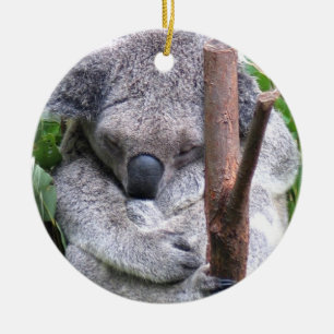 Cerâmica Ornamento do urso de Koala