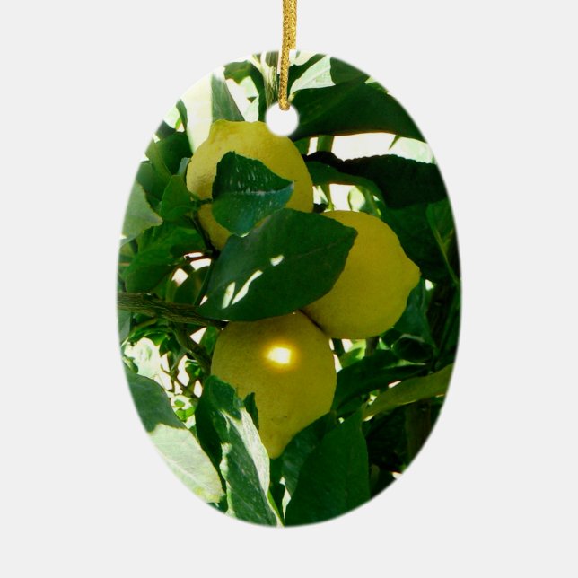 Cerâmica Ornamento do verde amarelo de árvore de limão (Frente)