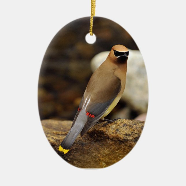 Cerâmica Ornamento do Waxwing de cedro (Frente)