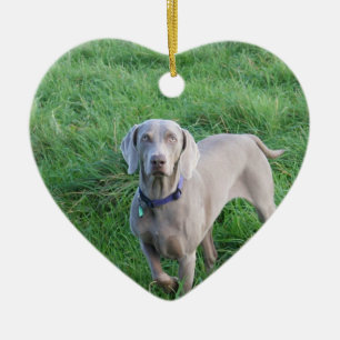 Cerâmica Ornamento dos amantes de Weimaraner