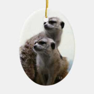 Cerâmica Ornamento dos pares de Meerkat