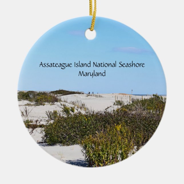 Cerâmica Ornamento em torno da ilha de Assateague (Frente)
