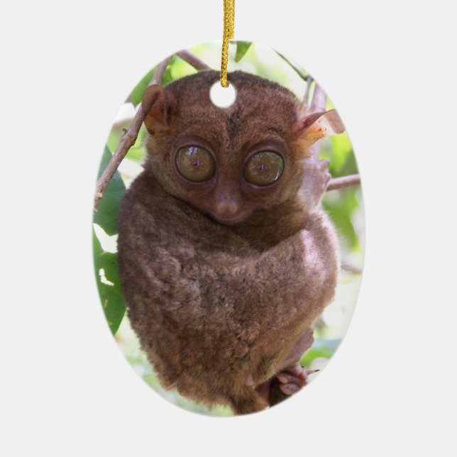 Cerâmica Ornamento filipino de Tarsier (Frente)