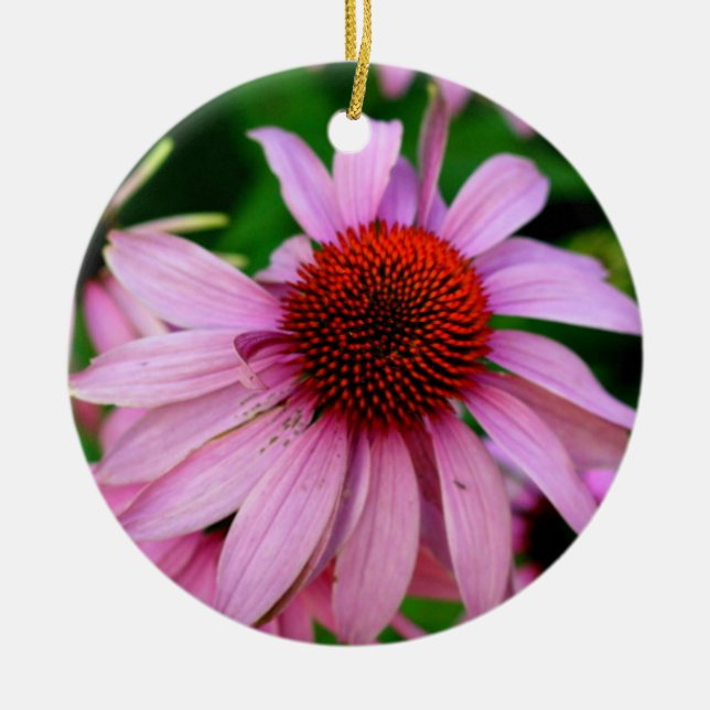Cerâmica ornamento floral de echinacea rosa (Frente)