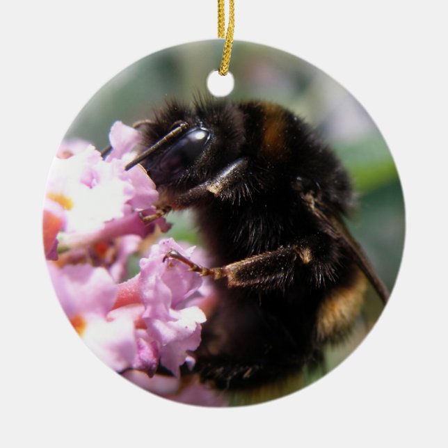 Cerâmica Ornamento Ocupado de Bumblebee e Flores Rosa (Frente)
