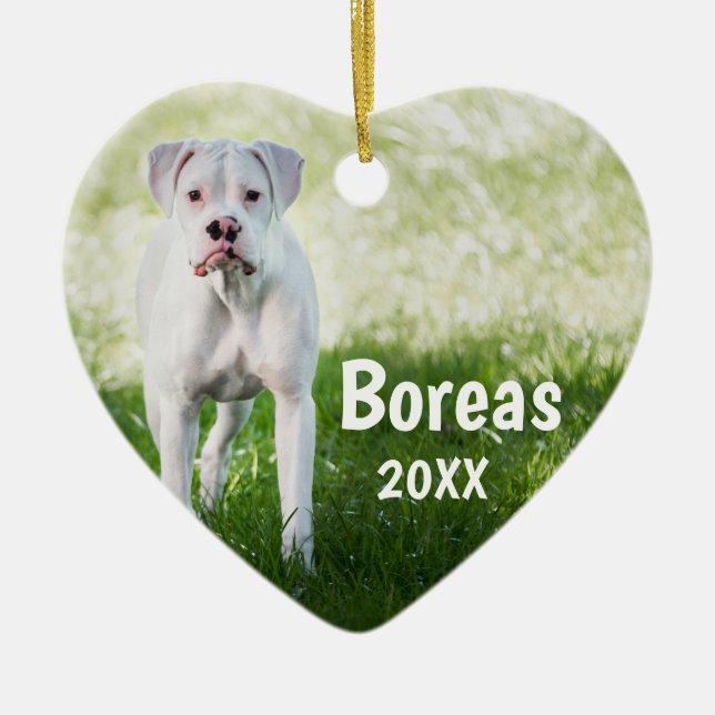 Cerâmica Ornamento Personalizado de Cães de Natal White Box (Frente)