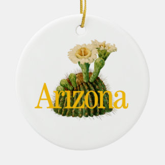 Cerâmica Ornamento personalizável de Arizonas com Saguaro C