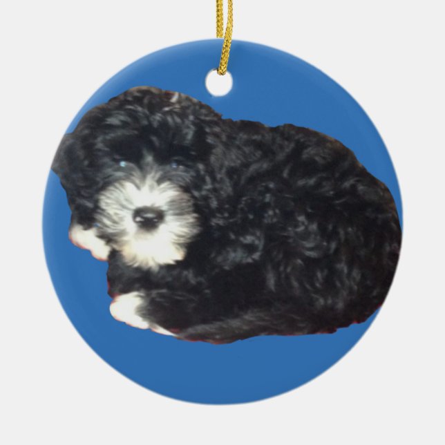 Cerâmica Ornamento português do cão de água (Frente)