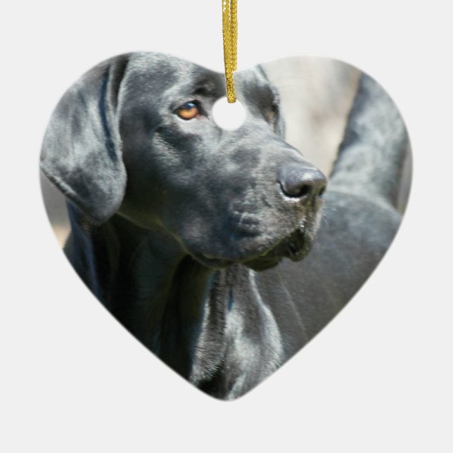 Cerâmica Ornamento preto alerta do cão de Labrador (Frente)