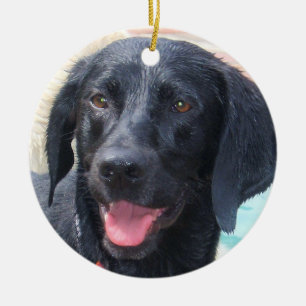 Cerâmica Ornamento preto de Labrador