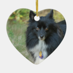 Cerâmica Ornamento preto do cão de Pomeranian