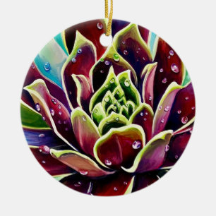 Cerâmica Ornamento Suculto do Círculo Cerâmico de Natal