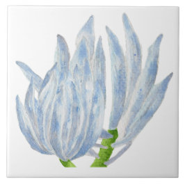 Cerâmica Palitos de giz azul em um Azulejo cerâmico