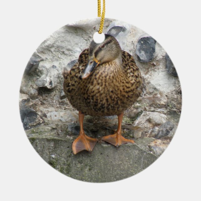 Cerâmica Pato em um Ornamento de Parede (Frente)