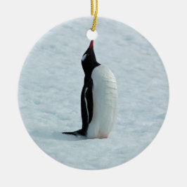 Cerâmica Pinguim de Gentoo no ornamento da Antártica