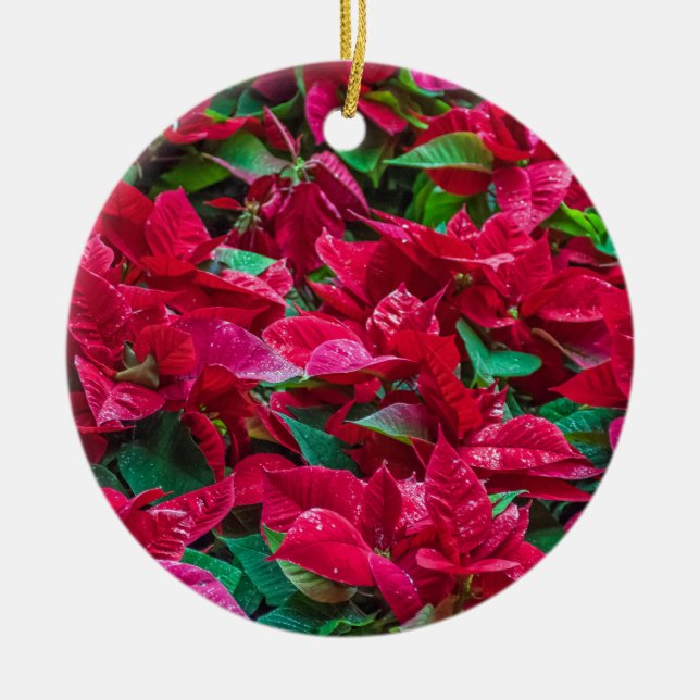 Cerâmica Poinsettia, ornamento da árvore de Natal (Frente)