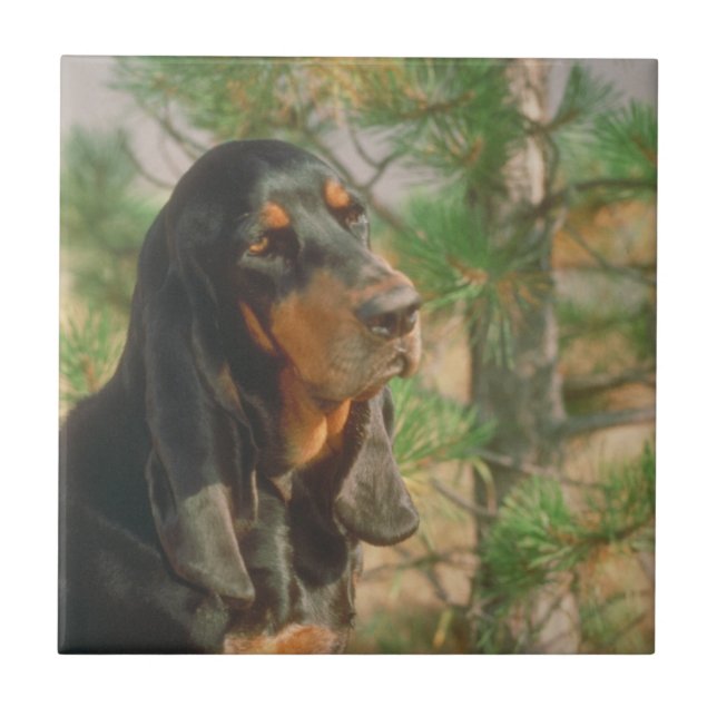 Cerâmica Preto e azulejo do Coonhound de Tan (Frente)