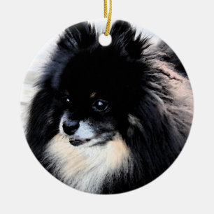 Cerâmica Preto & ornamento de Tan Pomeranian