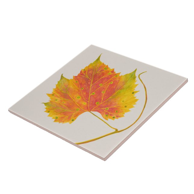 Cerâmica Queda de tonalidade em um Azulejo cerâmico (Lateral)