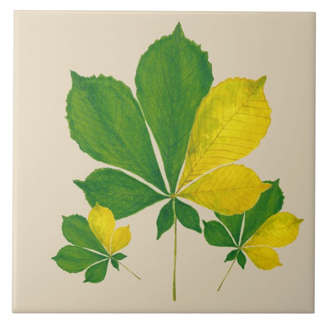 Cerâmica "Rang De Basanti" num Azulejo cerâmico (I) (Frente)