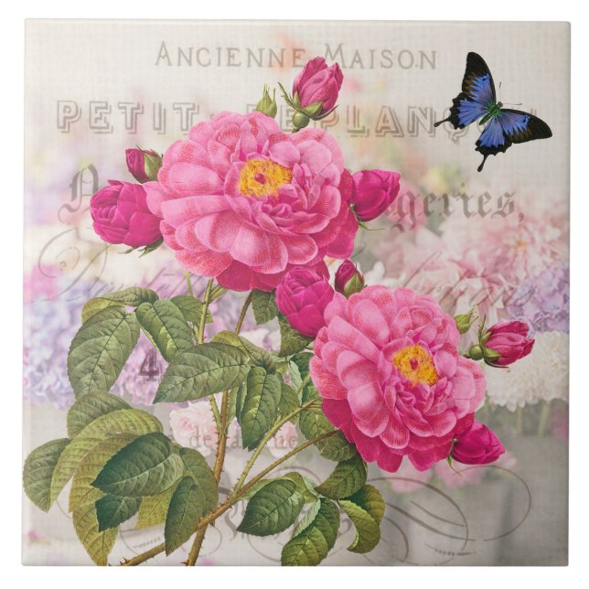 Cerâmica Redouta de Azulejo cerâmico de rosas rosa francesa (Frente)