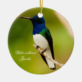 Cerâmica Retrato de Ornamento Redondo de Contemplação