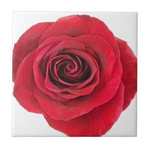Cerâmica rosa vermelha de Azulejo cerâmico