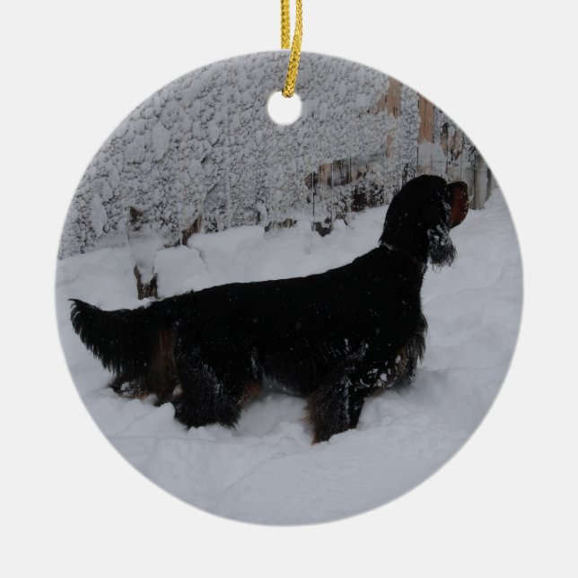 Cerâmica Setter de Gordon em um ornamento da tempestade de (Frente)