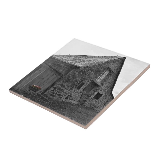 Cerâmica Sussurros do Azulejo de plástico cerâmico passado (Lateral)