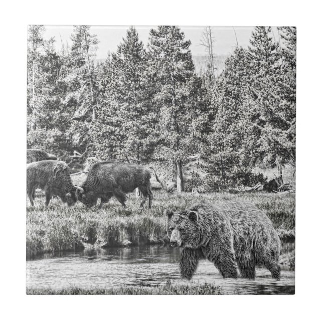 Cerâmica Urso e Azulejo de Arte de Baffalo (Frente)