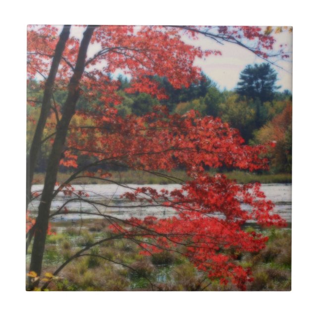 Cerâmica Vermelho outono deixa Azulejo de arte natural (Frente)