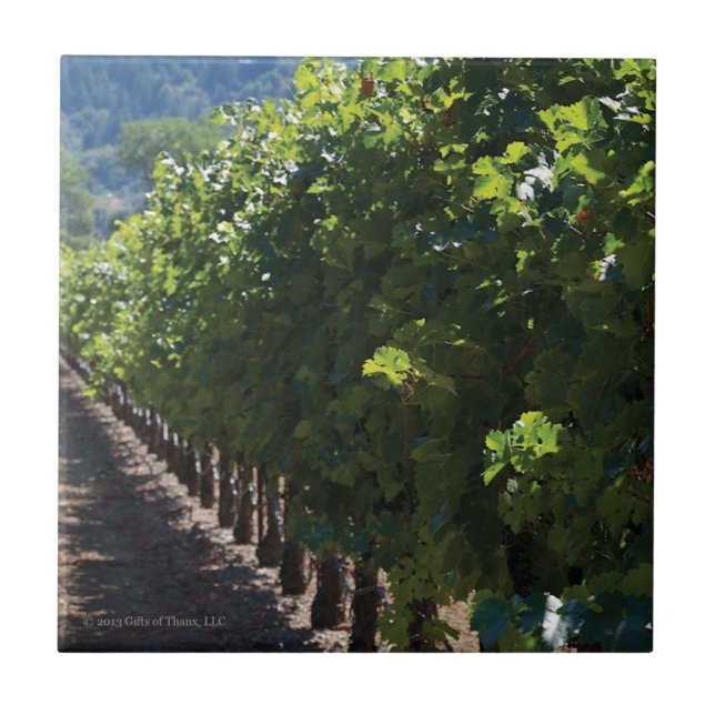 Cerâmica Vinhedo de Sonoma County - azulejo (Frente)