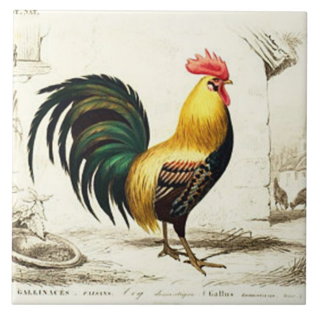 Cerâmica Vintage azulejo do galo de galeria de Paris (Frente)