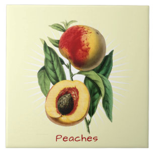 Cerâmica Vintage Peaches Fruta Azulejo de Arte Botânica