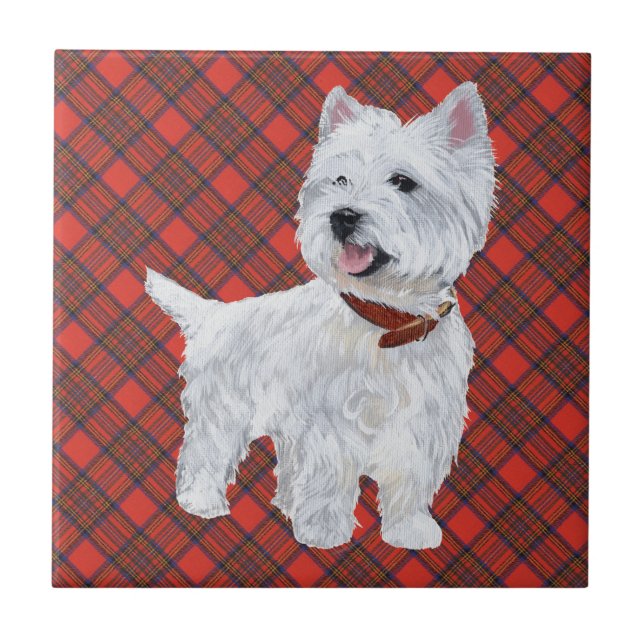 Cerâmica Westie no AZULEJO de Tartan (Frente)