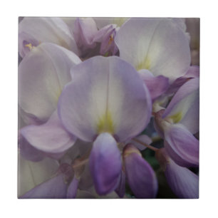 Cerâmica Wisteria Small (4,25" x 4,25") Azulejo de Foto Cer