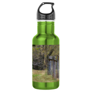 Cerca De Esquilo Dose De Aço Inoxidável Garrafa