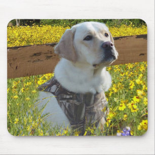 Cerca de labrador retriever Mousepad