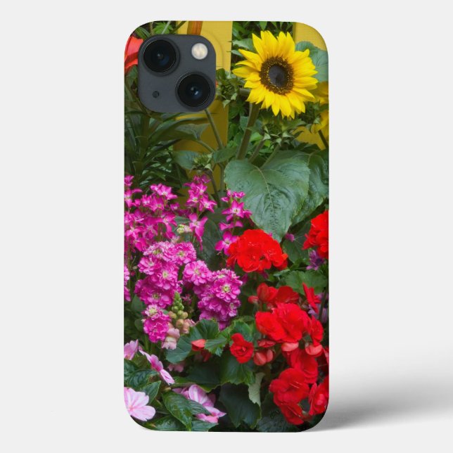 Cerca de piche amarela com jardim de flores (Verso)
