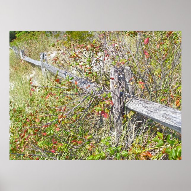 Cerca e veneno Ivy IBSP NJ Poster (Frente)