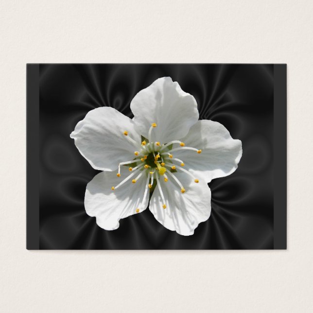Cereja floresce ~ ATC (Frente)