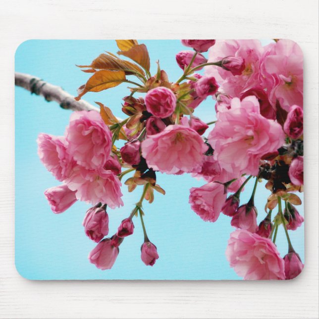 Cerejas Mousepad do primavera (Frente)