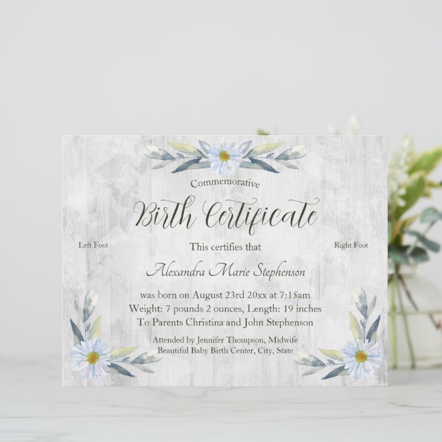 Certificado Comemorativo de Nascimento de Nova Peg (Em pé/Frente)