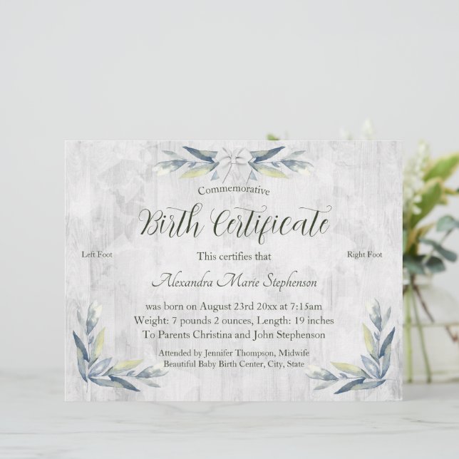 Certificado Comemorativo de Nascimento de Nova Peg (Em pé/Frente)