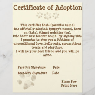 Certificado da adopção do filhote de cachorro