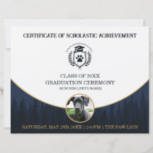 Certificado de Graduação de Pet Diploma de Treinam